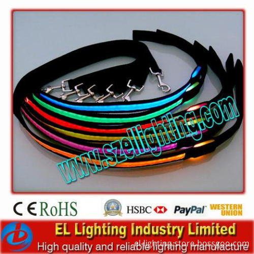 LED Light Dog Leash
